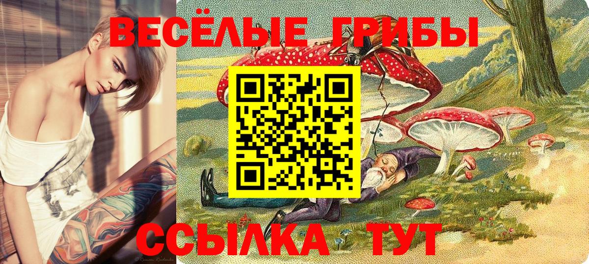 как найти   Вход с VPN  Ростов-на-Дону  Псилоцибиновые грибы GOLDEN TEACHER 